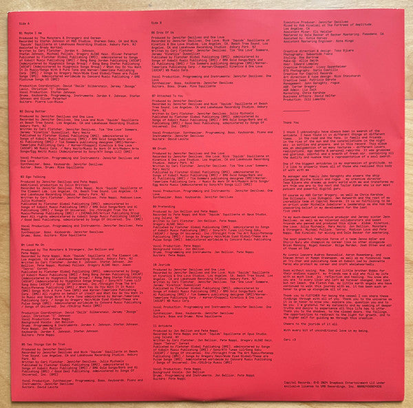 Fletcher - In Search - Standard Vinyl  RELEASE DATE 22/03/24 (THIS CAN image 4