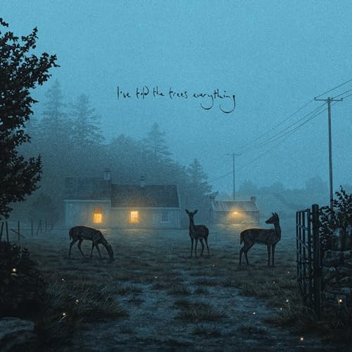 Dermot Kennedy - I’ve told the trees everything - Vinyl Record image 2