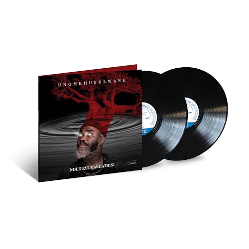 Nduduzo Makhathini - uNomkhubulwane - Vinyl Record 1LP image 1