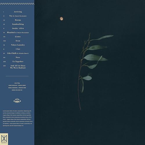 KEATON HENSON - Somnambulant Cycles - Vinyl Record image 3