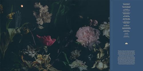 KEATON HENSON - Somnambulant Cycles - Vinyl Record image 4