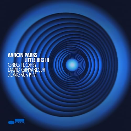 Aaron Parks - Little Big III - Vinyl Record 1LP image 2