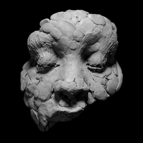 Joy Oladokun - OBSERVATIONS FROM A CROWDED ROOM - CD image 1