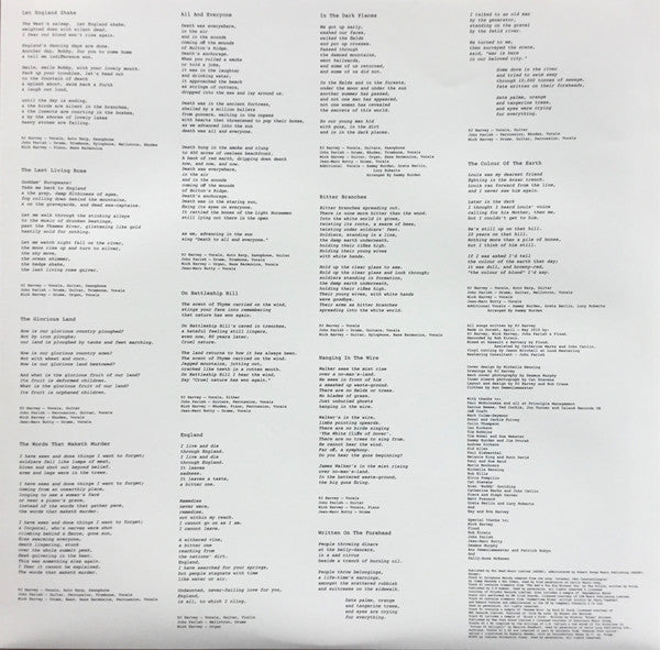 HARVEY - LET ENGLAND SHAKE - Vinyl Record image 5