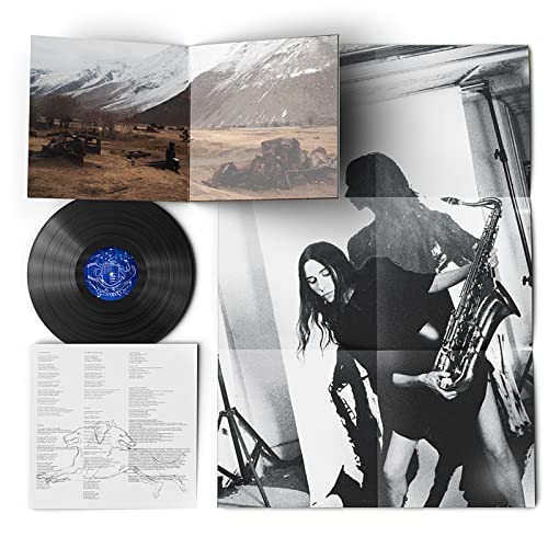 P.J. HARVEY - HOPE SIX DEMOLITION PROJECT - Vinyl Record 12 INCH RECORD image 3
