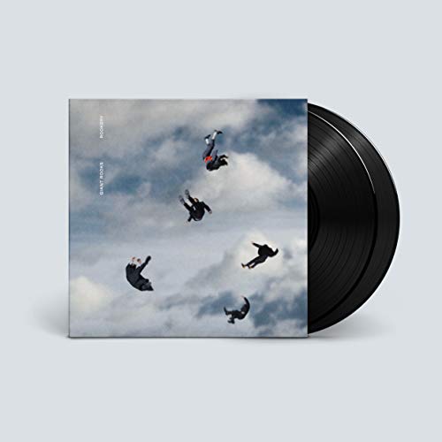 Giant Rooks - ROOKERY - Vinyl Record L.P. SET image 1