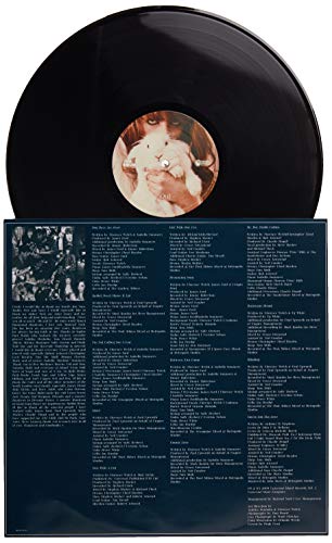 Florence And The Mac - Lungs - Vinyl Record image 4
