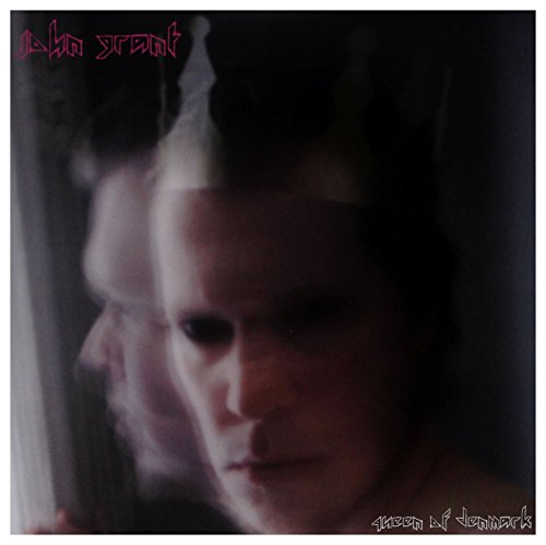 JOHN GRANT - QUEEN OF DENMARK - Vinyl Record 12" RECORD image 1