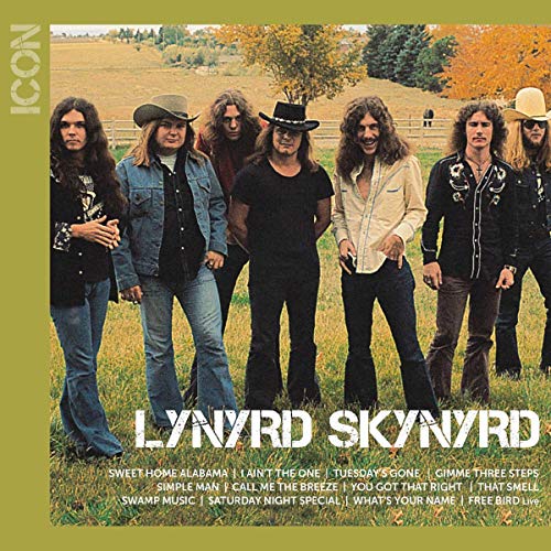 Lynyrd Skynyrd - Icon - CD image 1