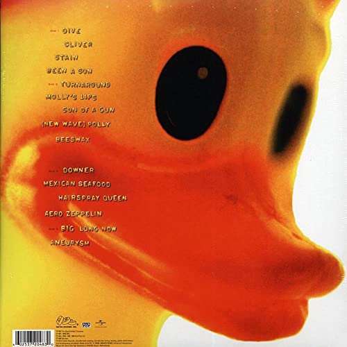 Nirvana - Incesticide - Vinyl Record image 2