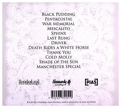 Mark Lanegan - Black Pudding - CD image 2