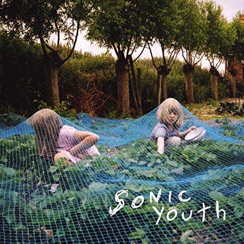 Sonic Youth - Murray Street - Vinyl Record image 1