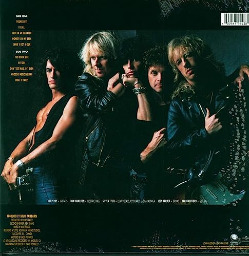Aerosmith - Pump - Vinyl Record image 2