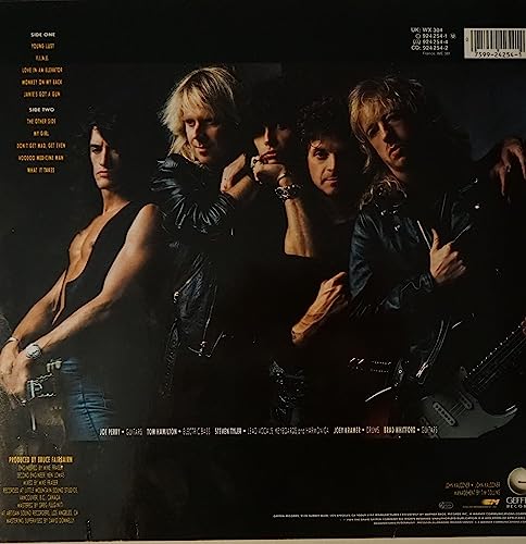 Aerosmith - Pump - Vinyl Record image 3