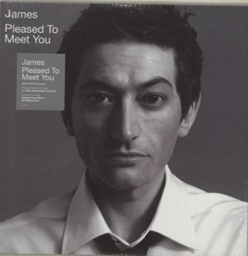 James - Pleased To Meet You - Vinyl Record image 1
