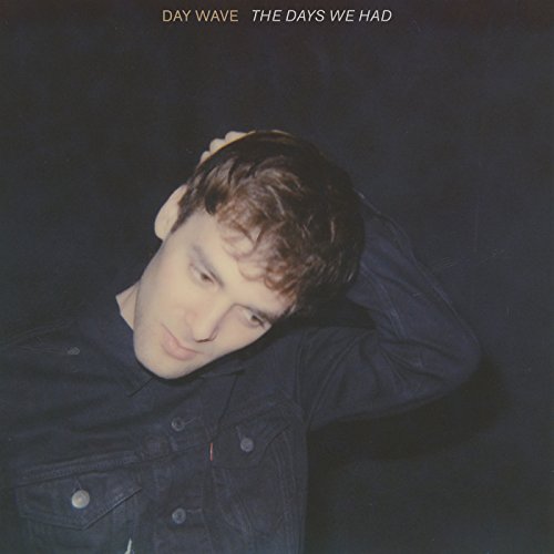 Day Wave - Days We Had - Vinyl Record image 1