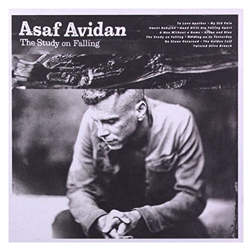 AVIDAN ASAF - STUDY ON FALLING - CD image 1