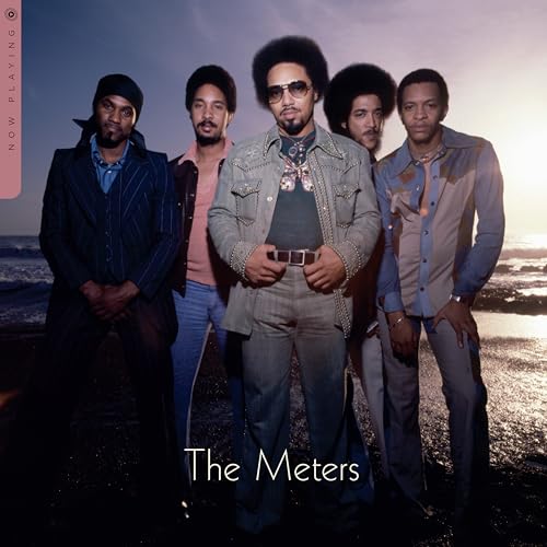 Meters - Now Playing - Vinyl Record VINYL image 1