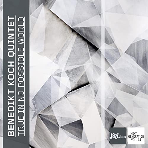 Benedikt Koch Quinte - True In No Possible World - CD image 1