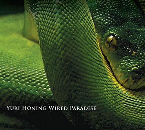 Yuri Honing Wired Pa - Temptation - CD image 1