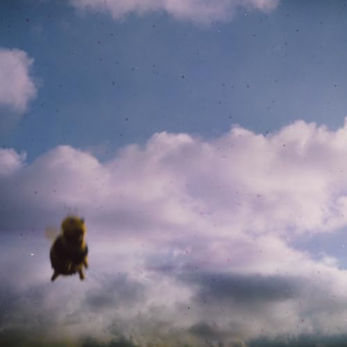 Pond - Stung! LP  RELEASE DATE 14/06/24 (THIS CAN CHANGE!) - Vinyl Re image 1
