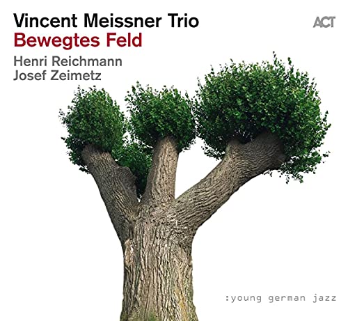 Vincent Meissner Tri - Bewegtes Feld - cd image 1