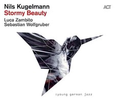 NILS KUGELMANN - STORMY BEAUTY - CD ALBUM image 1