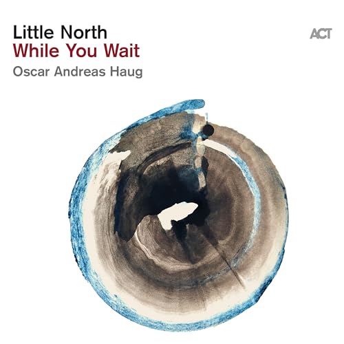 LITTLE NORTH - WHILE YOU WAIT - CD ALBUM image 1