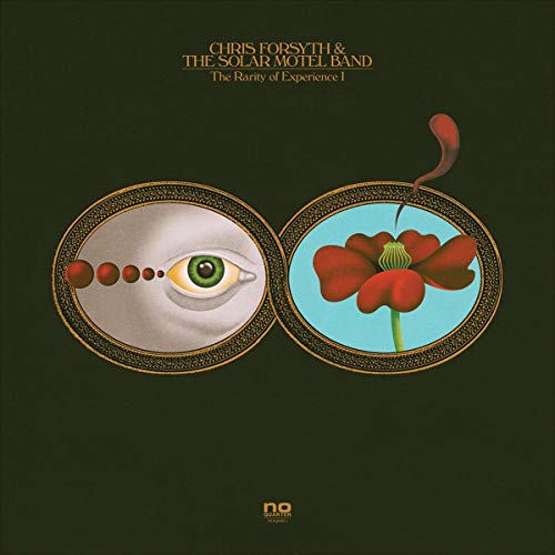 Chris Forsyth & The - Rarity Of Experience - Vinyl Record image 1