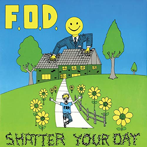 Flag Of Democracy - Shatter Your Day - Vinyl Record image 2
