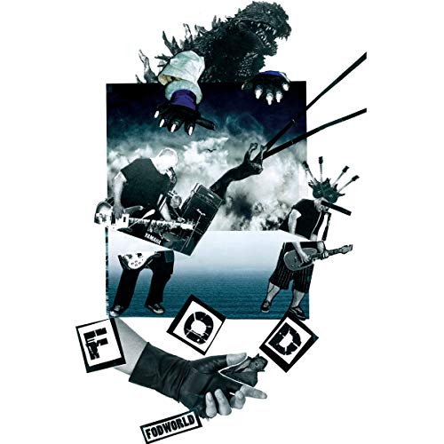 FLAG OF DEMOCRACY - FODWORLD - Vinyl Record image 1