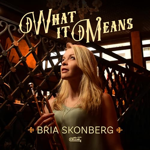 BRIA SKONBERG - WHAT IT MEANS - CD image 1