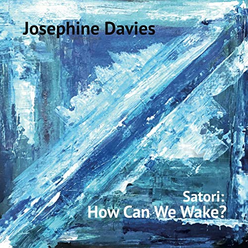 Josephine Davies - How Can We Wake? - Vinyl Record image 1