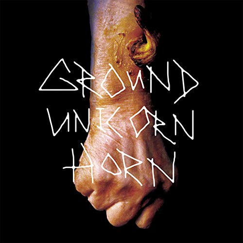 Ground Unicorn Horn - Damn I Wish I Was Fat - CD