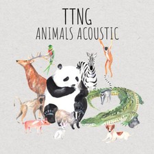This Town Needs Guns - Animals Acoustic - CD image 1