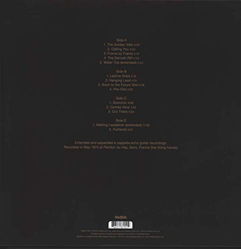 Steve Hillage - Golden Vibe - Vinyl Record image 2