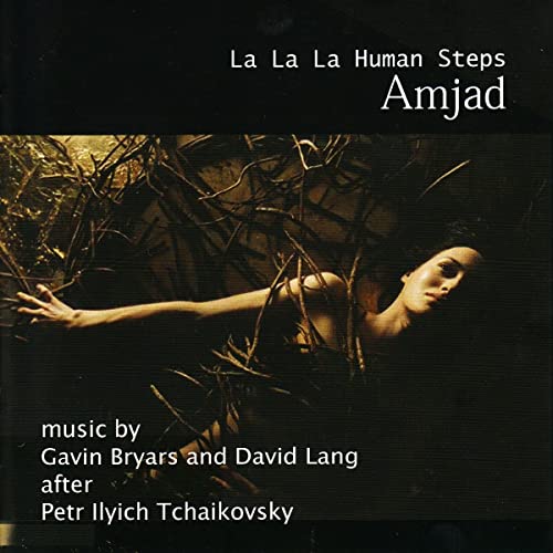 BRYARS GAVIN/DAVID L - AMJAD - CD image 1