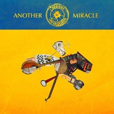 STEVE N SEAGULLS - ANOTHER MIRACLE - Vinyl Record image 1