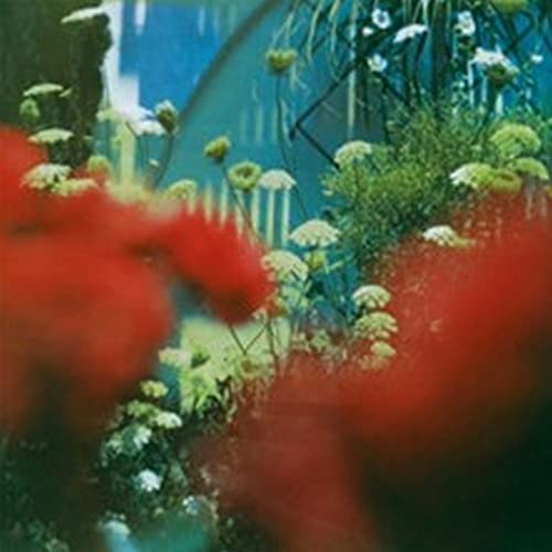 PULLED APART BY HORS - HAZE - Vinyl Record VL image 1