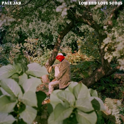 PALE JAY - LOW END LOVE SONGS - CD image 1