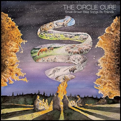 FEATURE FILM - CIRCLE CURE. SMALL BROWN BIKE SONGS BY FRIENDS - Vinyl R image 1