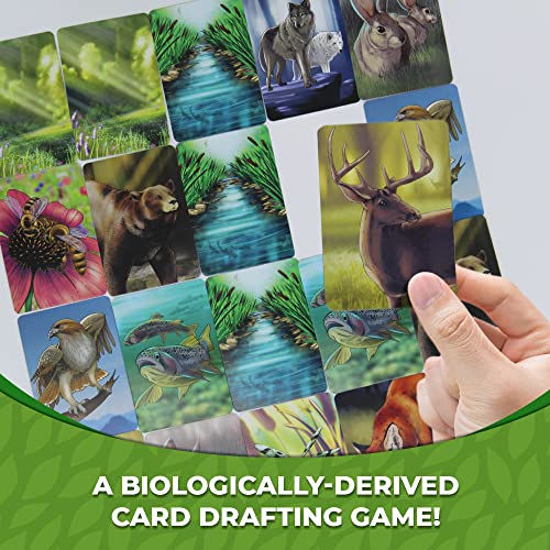Ecosystem / Board Games - Non-book item image 4