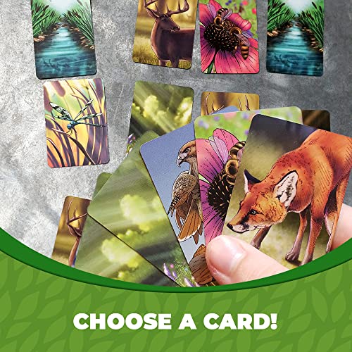 Ecosystem / Board Games - Non-book item image 5