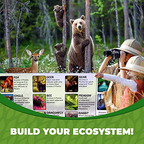 Ecosystem / Board Games - Non-book item image 6