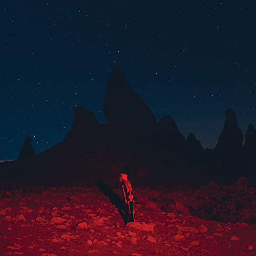 PHOEBE BRIDGERS - PUNISHER - Vinyl Record 12" RECORD image 1