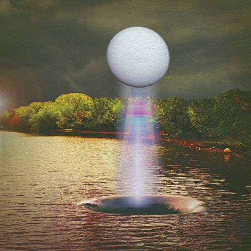 Besnard Lakes - A Coliseum Complex Museum - Vinyl Record image 1
