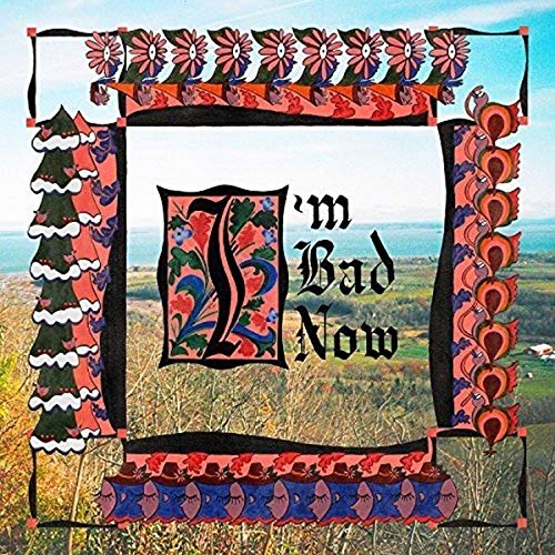 Nap Eyes - I'm Bad Now - Used Vinyl Record image 1