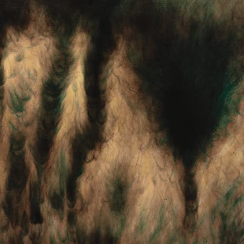 WILLIAM BASINSKI - LAMENTATIONS - Vinyl Record VL image 1