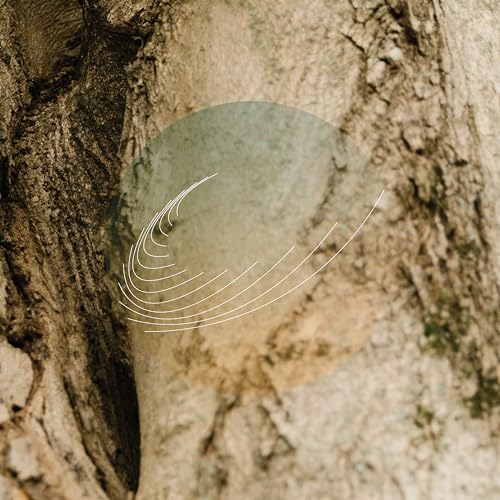 FIELD WORKS - MAPLES, ASH, AND OAKS: CEDARS INSTRUMENTALS - Vinyl Rec image 1