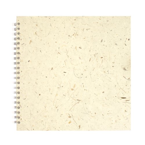 11x11 Posh Black Display 25lvs Natural Banana - Non-book item